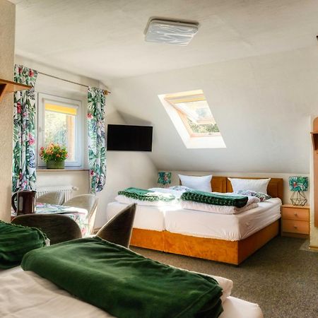 Osrodek Jagienka Zieleniec Bed & Breakfast Duszniki Zdroj Exterior photo